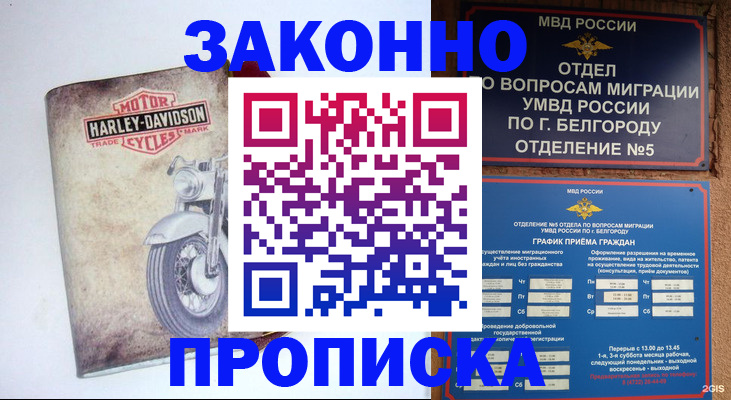 прописка для школы в Зеленоградске